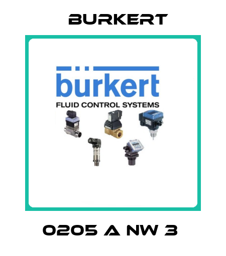 0205 A NW 3  Burkert
