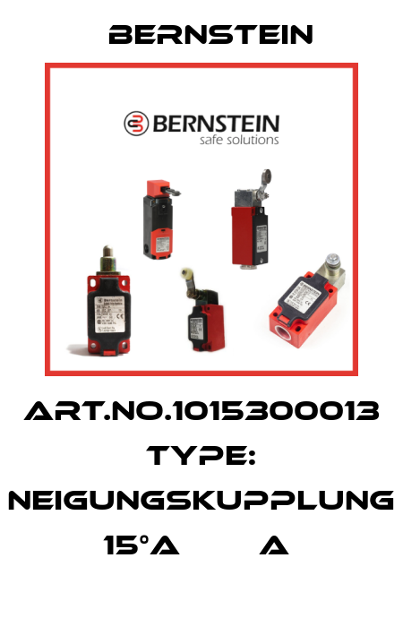 Art.No.1015300013 Type: NEIGUNGSKUPPLUNG 15°A        A  Bernstein