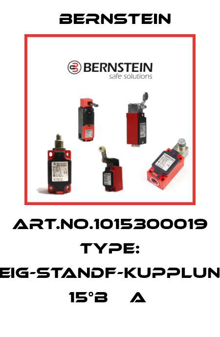 Art.No.1015300019 Type: NEIG-STANDF-KUPPLUNG 15°B    A  Bernstein