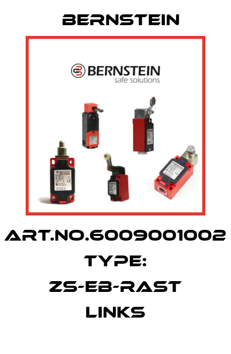 Art.No.6009001002 Type: ZS-EB-RAST LINKS Bernstein