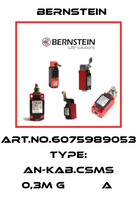 Art.No.6075989053 Type: AN-KAB.CSMS 0,3M G           A  Bernstein