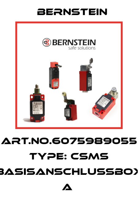 Art.No.6075989055 Type: CSMS BASISANSCHLUSSBOX       A  Bernstein