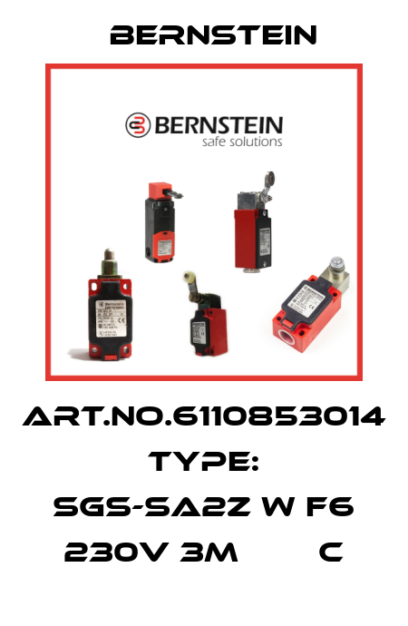 Art.No.6110853014 Type: SGS-SA2Z w F6 230V 3M        C Bernstein