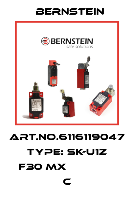 Art.No.6116119047 Type: SK-U1Z F30 MX                C Bernstein