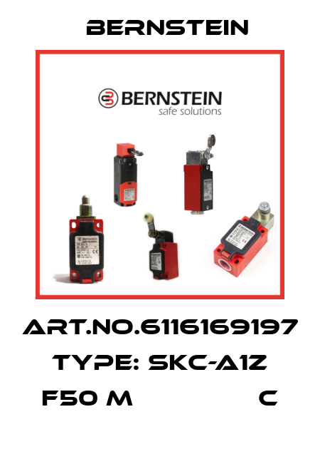 Art.No.6116169197 Type: SKC-A1Z F50 M                C Bernstein