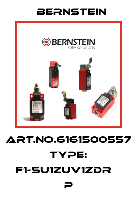 Art.No.6161500557 Type: F1-SU1ZUV1ZDR                P Bernstein