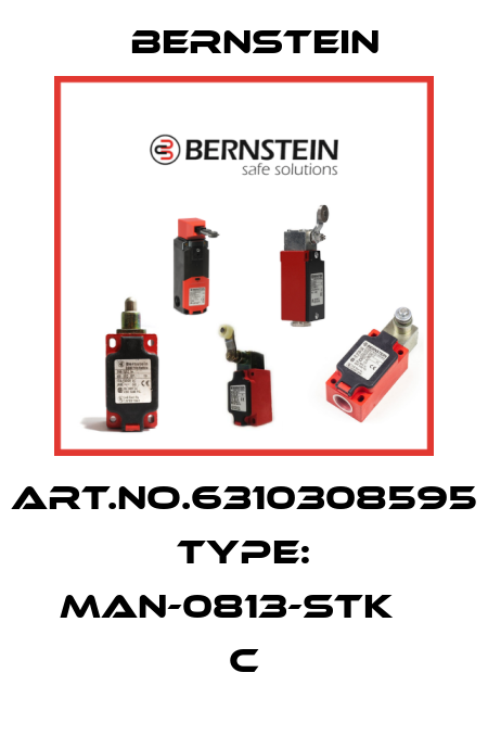 Art.No.6310308595 Type: MAN-0813-STK                 C Bernstein