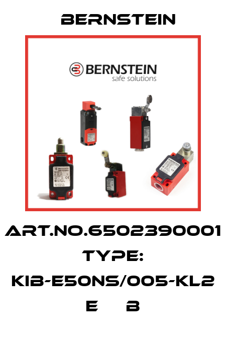 Art.No.6502390001 Type: KIB-E50NS/005-KL2      E     B Bernstein