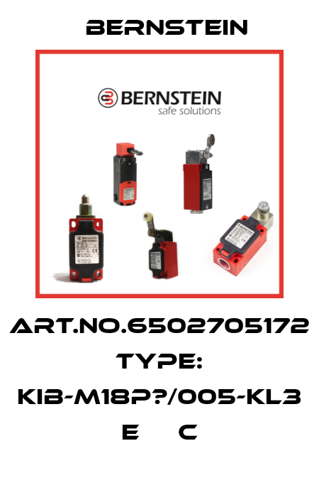 Art.No.6502705172 Type: KIB-M18P?/005-KL3      E     C Bernstein