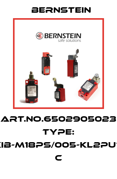 Art.No.6502905023 Type: KIB-M18PS/005-KL2PUT         C Bernstein