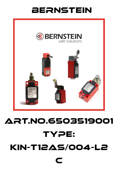 Art.No.6503519001 Type: KIN-T12AS/004-L2             C Bernstein