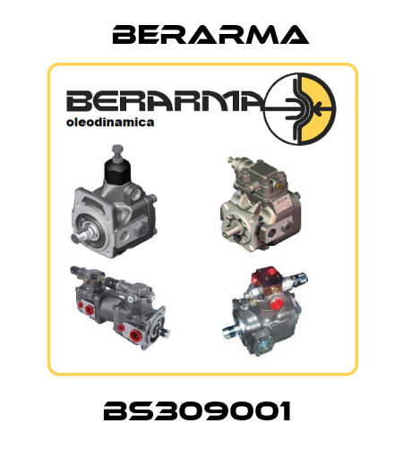BS309001  Berarma
