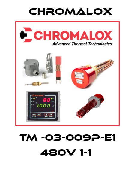 TM -03-009P-E1 480V 1-1  Chromalox
