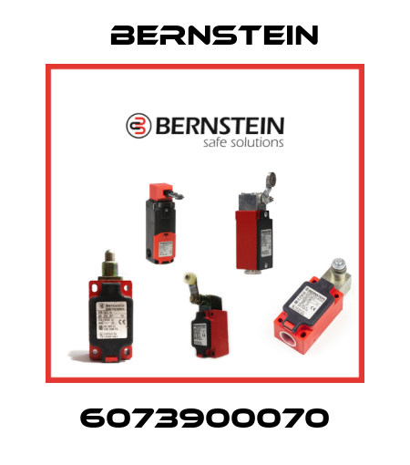 6073900070 Bernstein
