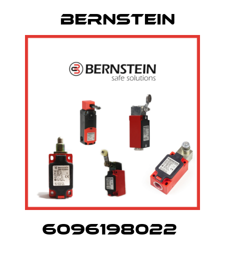 6096198022  Bernstein