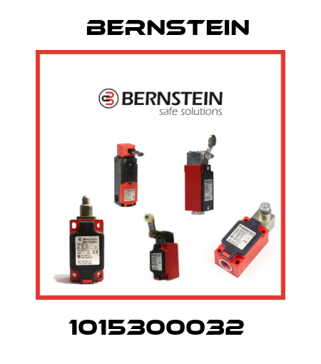 1015300032  Bernstein