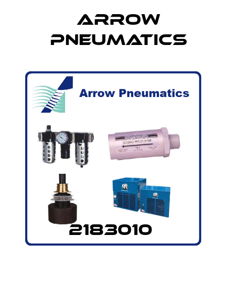 2183010  Arrow Pneumatics