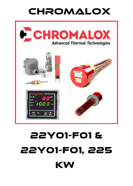 22Y01-F01 & 22Y01-F01, 225 KW  Chromalox