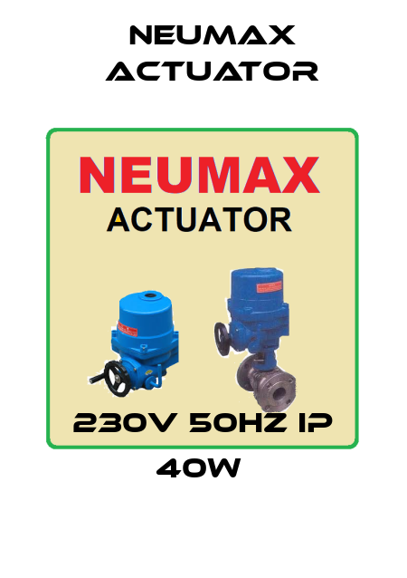 230V 50Hz IP 40W  Neumax Actuator