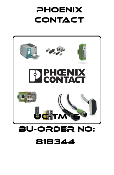 UC-TM  6 BU-ORDER NO: 818344  Phoenix Contact