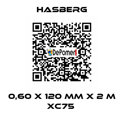 0,60 X 120 MM X 2 M XC75  Hasberg
