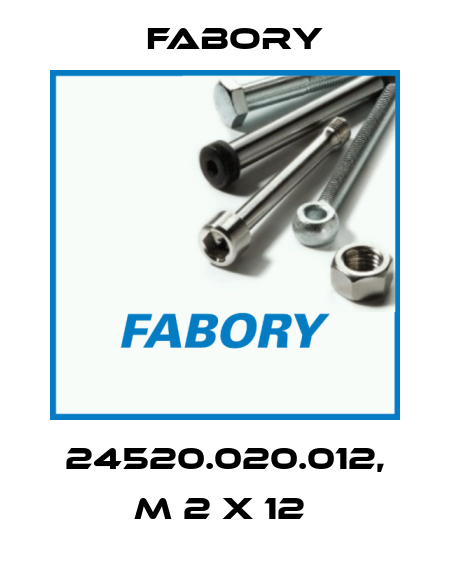 24520.020.012, M 2 X 12  Fabory