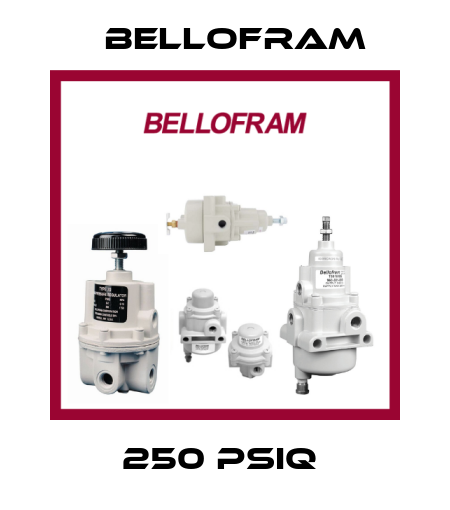 250 PSIQ  Bellofram