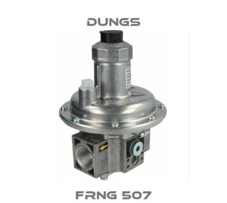 FRNG 507 Dungs