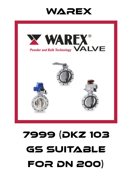 7999 (DKZ 103 GS suitable for DN 200) Warex