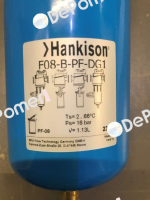 F08-B-PF-DG1 Hankison