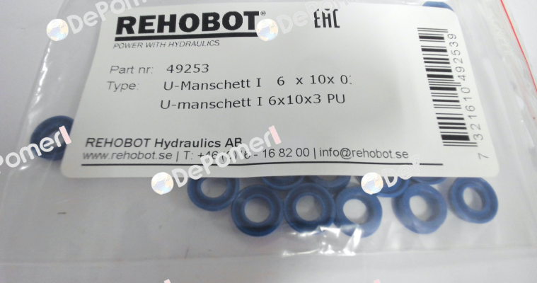 49253 Rehobot
