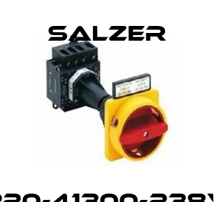 H220-41300-238V4 Salzer