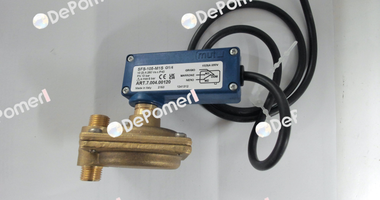 7.004.00120 / SFS 105 M1S G 1/4" IP40 Mut Meccanica Tovo SpA