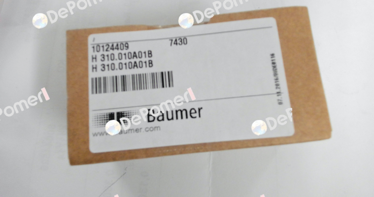 H 310.010A01B Irion-Vosseler