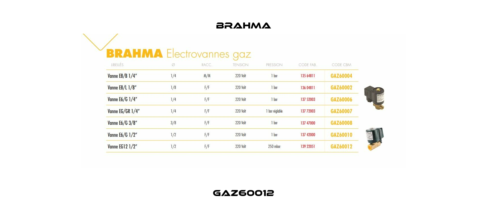 GAZ60012 Brahma
