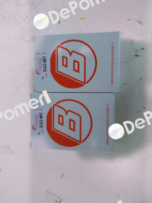 S1A2-NPT Bonesi Pneumatic