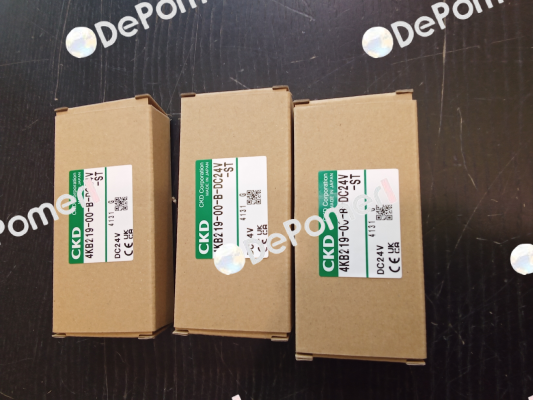 4KB219-00-B-DC24V-ST Ckd