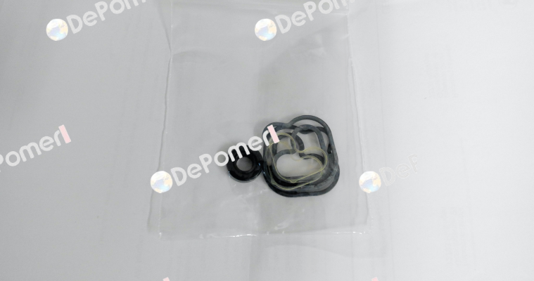 Seal kit pump 00 Caproni