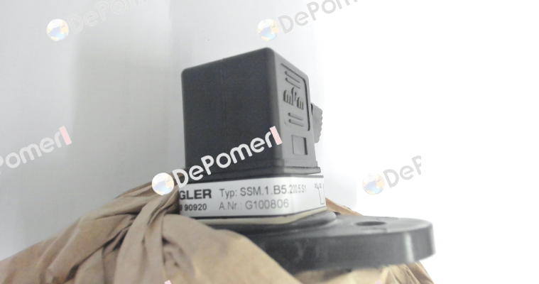 G100806 - SSM.1.B5.200.5.S1 Engler