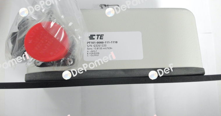 PT101-0060-111-1110 Celesco