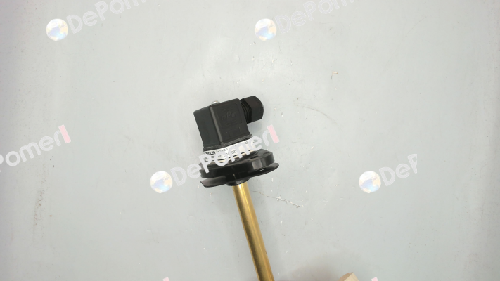 SSM.1.B4.330.5.S1.T70O Engler
