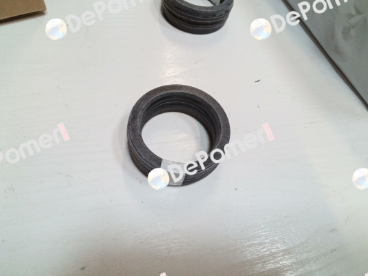 CH 275216 Polypac