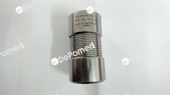 6110798 Baumann