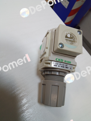 R1000-8G-W-LNT Ckd