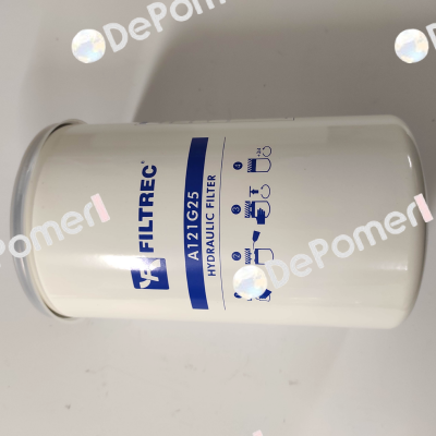 A121G25 Filtrec