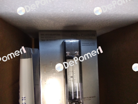 HFS-BB-NPT-AA Delta Controls
