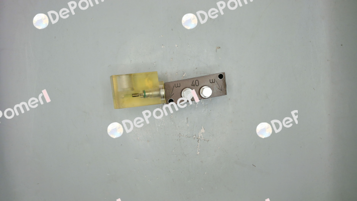100DPI-C Woerner