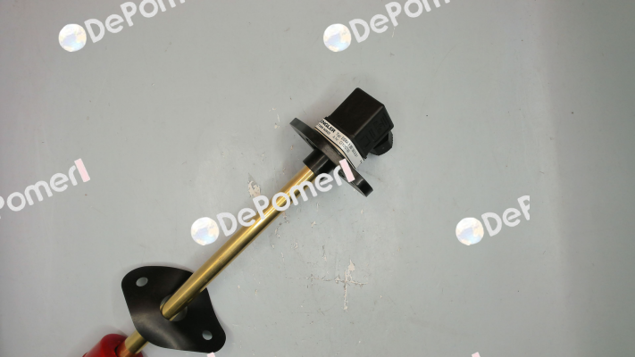 SSM.1.B5.180.5.S1 Engler