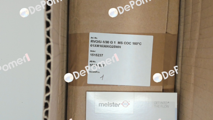 01XM1030XG25WH Meister