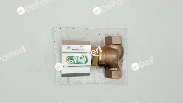 G1018224SC Pneumax